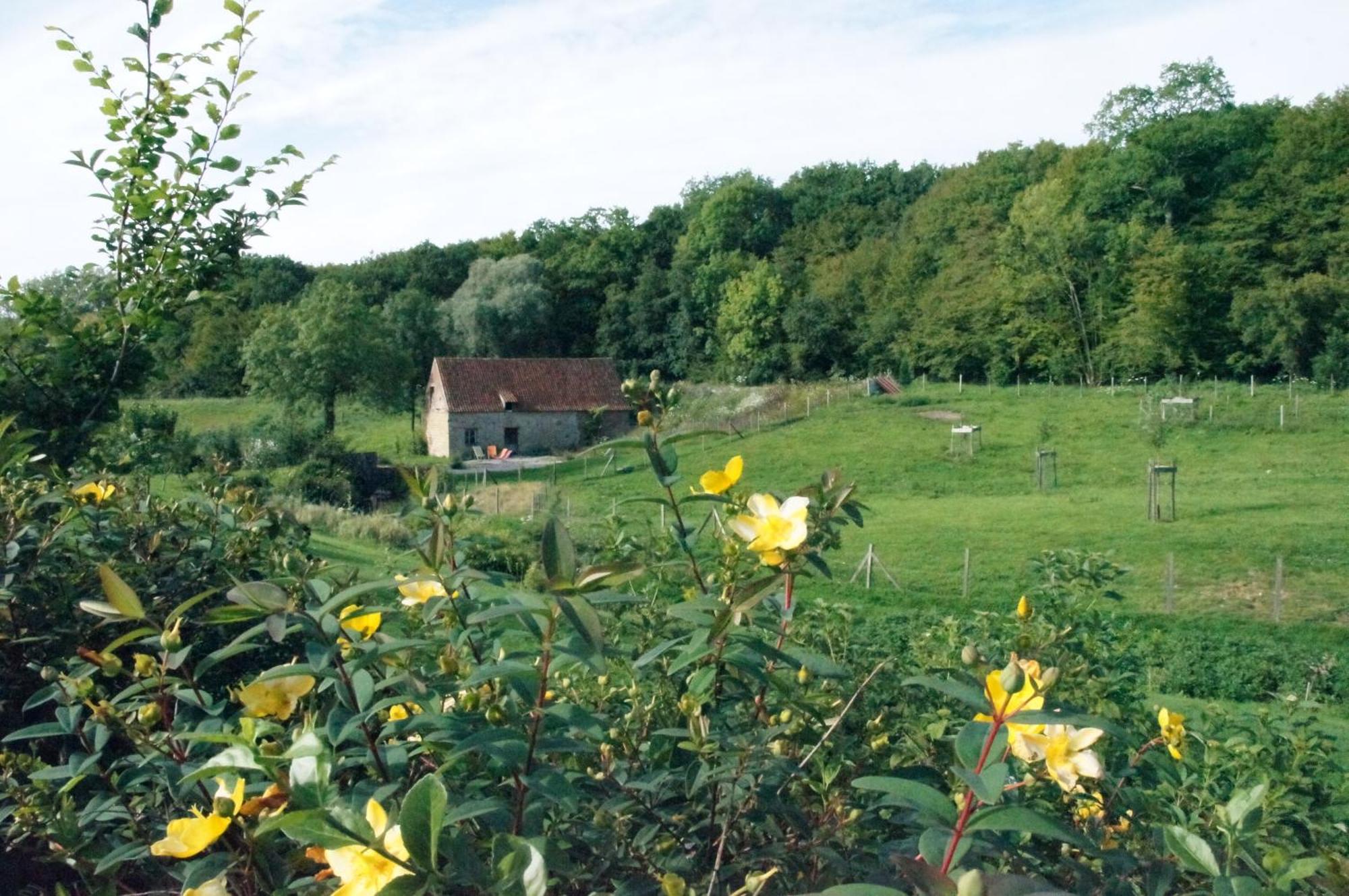 Hotel Du Moulin Aux Draps 代夫勒 外观 照片